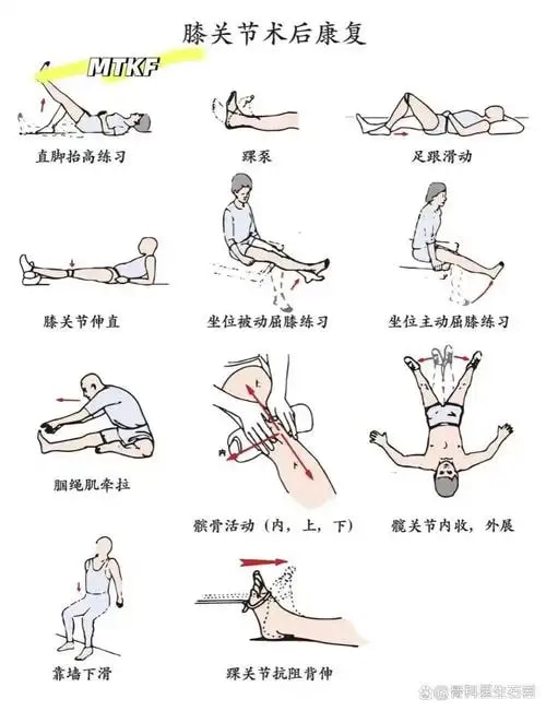 关节置换后训练