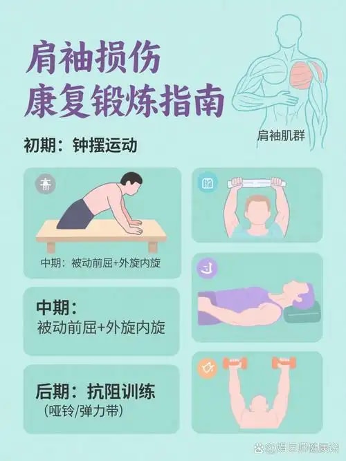 肩袖损伤康复