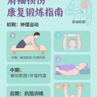 肩袖损伤康复
