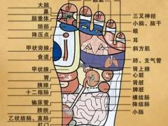 康复器械展览会
